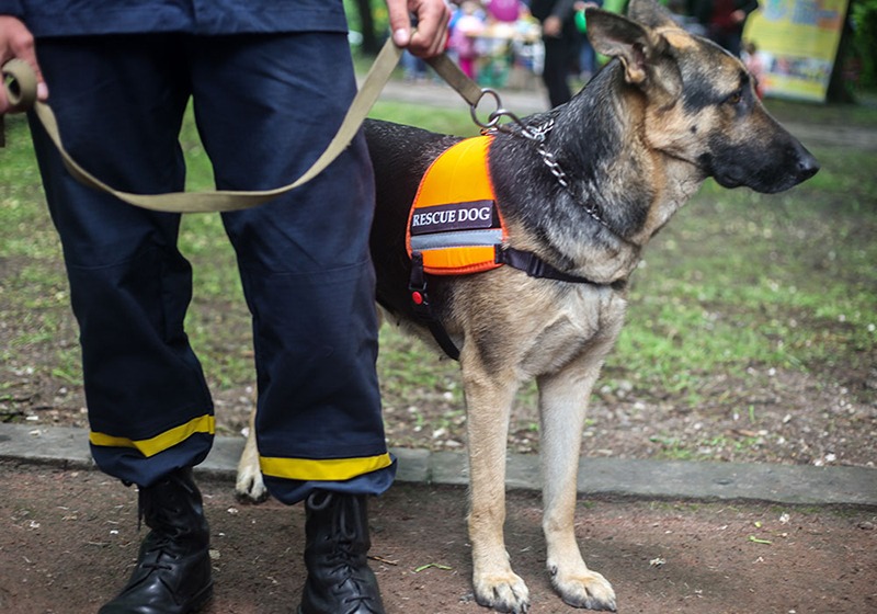 emergency-response-and-emergency-preparedness